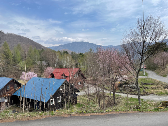 蝙蝠袖連身裙，薩克森藍（藤吉田染） 第14張的照片