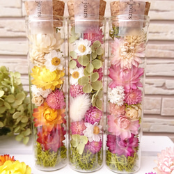 ふんわりピンク＊3本セット＊ドライフラワーボトル～ボトルフラワー