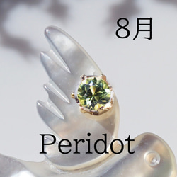 数量限定★宝石を運ぶツバメのブローチ　～The Happy Prince 15枚目の画像