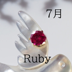 数量限定★宝石を運ぶツバメのブローチ　～The Happy Prince 14枚目の画像