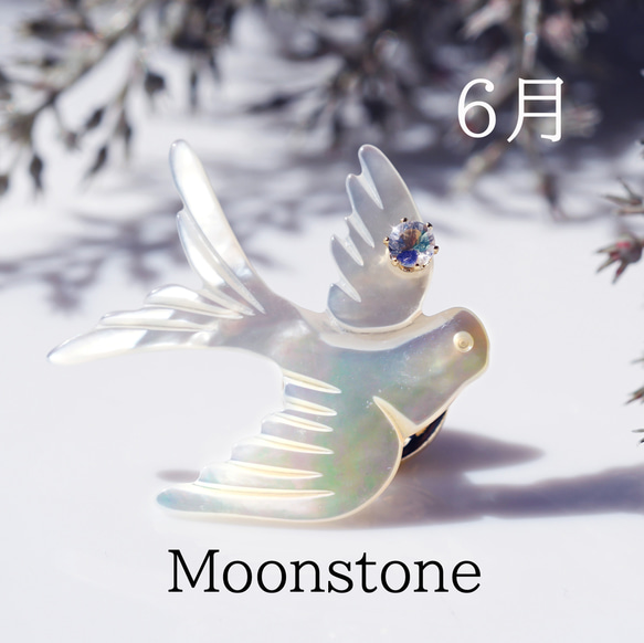 数量限定★宝石を運ぶツバメのブローチ　～The Happy Prince 13枚目の画像