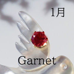 数量限定★宝石を運ぶツバメのブローチ　～The Happy Prince 8枚目の画像