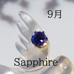 数量限定★宝石を運ぶツバメのブローチ　～The Happy Prince 16枚目の画像