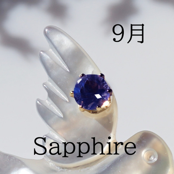 数量限定★宝石を運ぶツバメのブローチ　～The Happy Prince 16枚目の画像