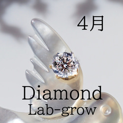 数量限定★宝石を運ぶツバメのブローチ　～The Happy Prince 11枚目の画像