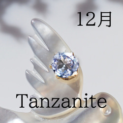 数量限定★宝石を運ぶツバメのブローチ　～The Happy Prince 19枚目の画像