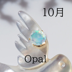 数量限定★宝石を運ぶツバメのブローチ　～The Happy Prince 17枚目の画像