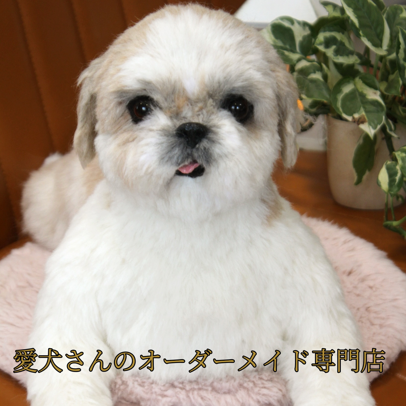 《愛犬さんのオーダー》羊毛フェルト　オーダー　犬　羊毛フェルト　チワワ　リアル　ダックス　ポメラニアン　羊毛フェルト犬