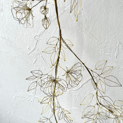 木香薔薇（モッコウバラ）の長いつる　ワイヤーアート　ワイヤークラフト 5枚目の画像