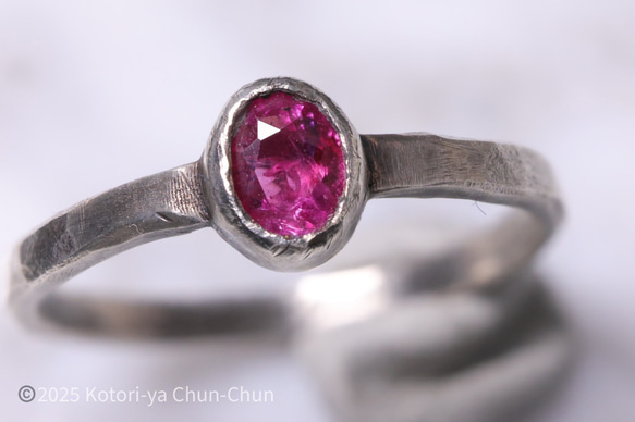 パラジウムシルバーリング ルビー ピンクサファイア 9号 GSTV パラジウムシルバーリング ルビー ピンクサファイア 9号 GSTV