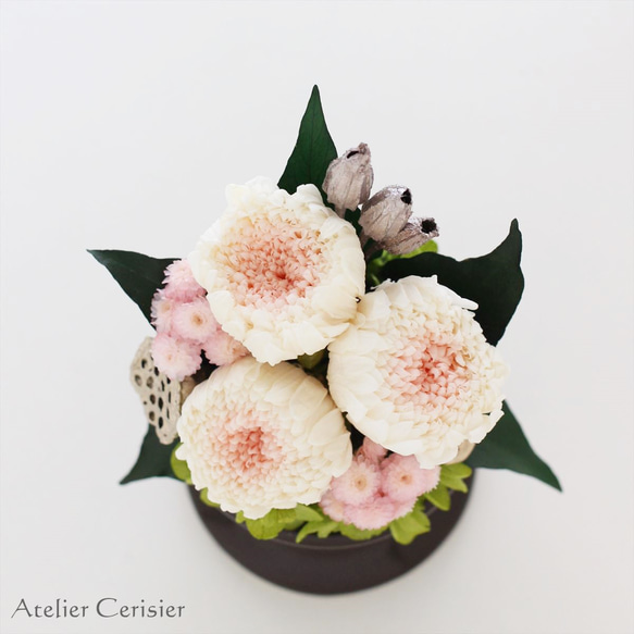 【特割】輪菊の仏花＜ツヅミ 白桃色＞Sサイズ プリザーブドフラワー【お供え花】 4枚目の画像