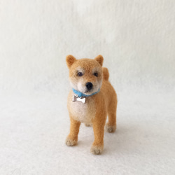 くるくるトイプードルちゃん＊ 羊毛フェルト rio 通販 18697｜Creema