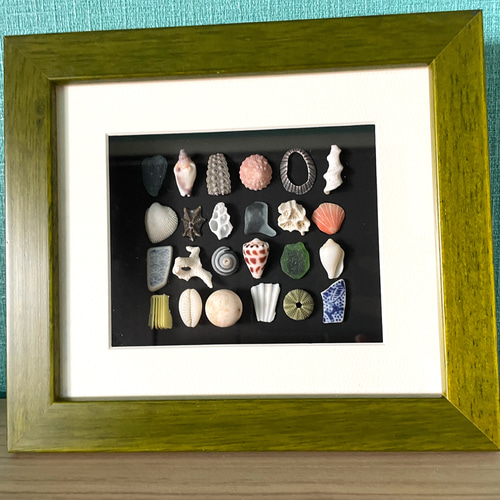 金で縁取りしてある 真珠 飾り物 あまり見ること無い貝殻アート 木製