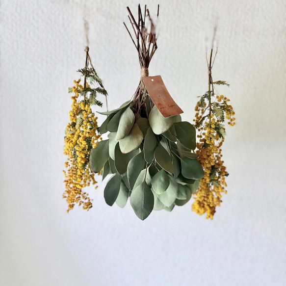 3.ポポラスフェアリースワッグ chiririさんがユーカリポポラスの