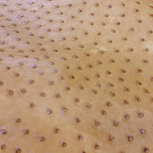 オーストリッチ ダチョウ革 OSTRICH エキゾチックレザー その他素材