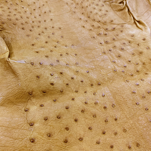 オーストリッチ ダチョウ革 OSTRICH エキゾチックレザー その他素材