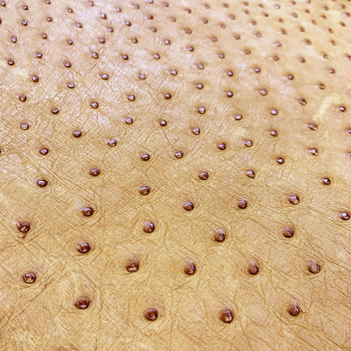 オーストリッチ ダチョウ革 OSTRICH エキゾチックレザー その他素材