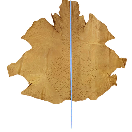 オーダーで製作させて頂きました　デモ用超豪華オーストリッチアクセサリー ニューリリース | OSTRICH（オーストリッチ）公式ホームページ｜自転車