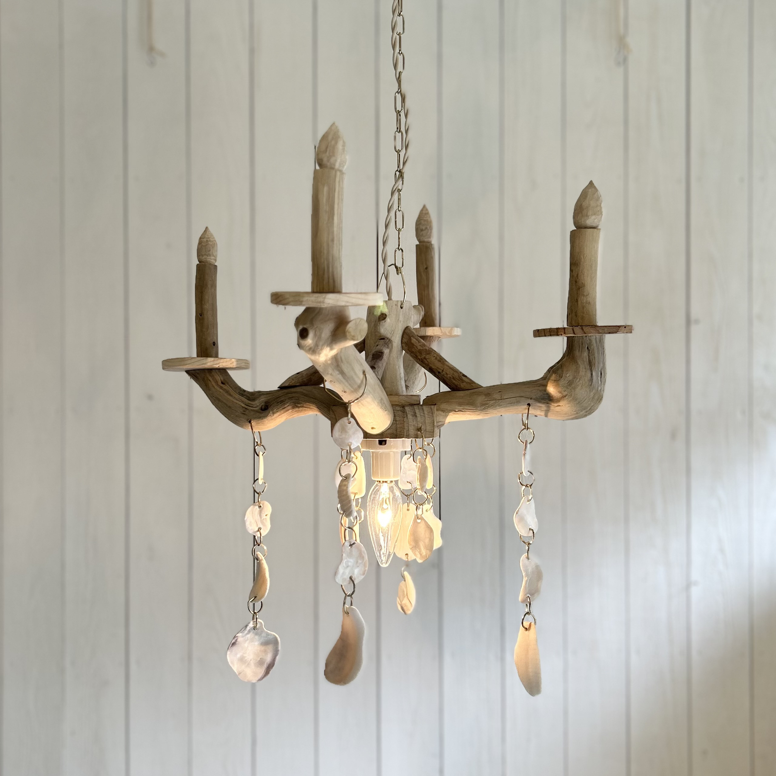 流木と貝殻のシャンデリア