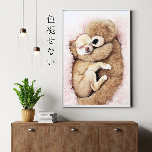 くまのぬいぐるみ - チワワ犬】テディーベア・teddy bear・かわいい