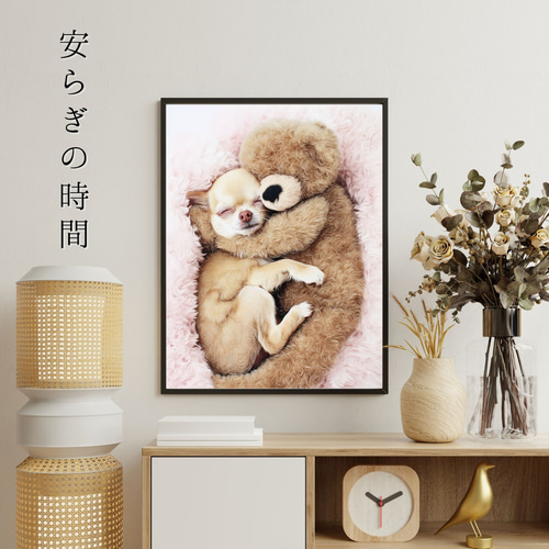 くまのぬいぐるみ - チワワ犬】テディーベア・teddy bear・かわいい