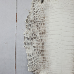 ワニ革 クロコ ヒマラヤ ナチュラル No.C008379 14枚目の画像