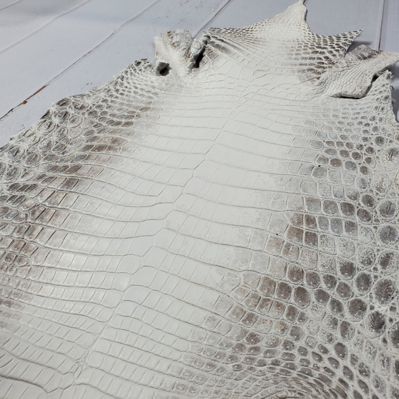 ワニ革 クロコ ヒマラヤ ナチュラル No.C008379 13枚目の画像