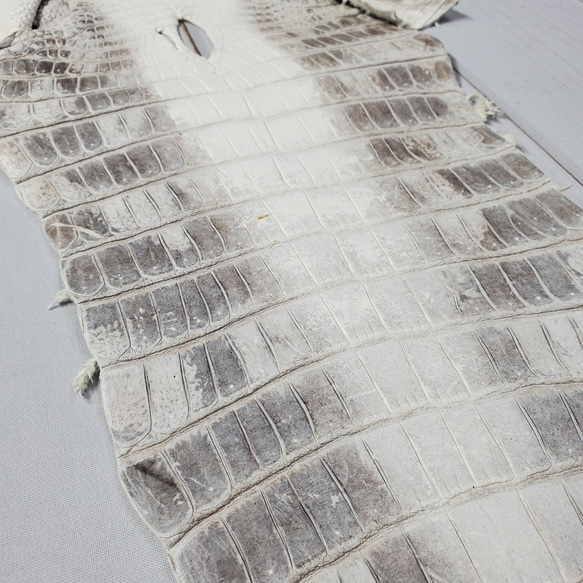 ワニ革 クロコ ヒマラヤ ナチュラル No.C008379 16枚目の画像