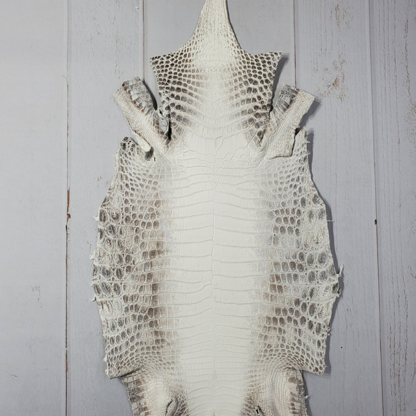 ワニ革 クロコ ヒマラヤ ナチュラル No.C008379 1枚目の画像