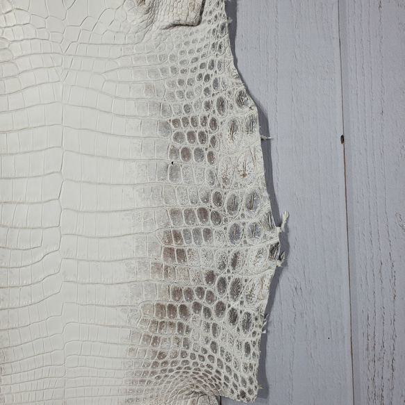 ワニ革 クロコ ヒマラヤ ナチュラル No.C008379 15枚目の画像