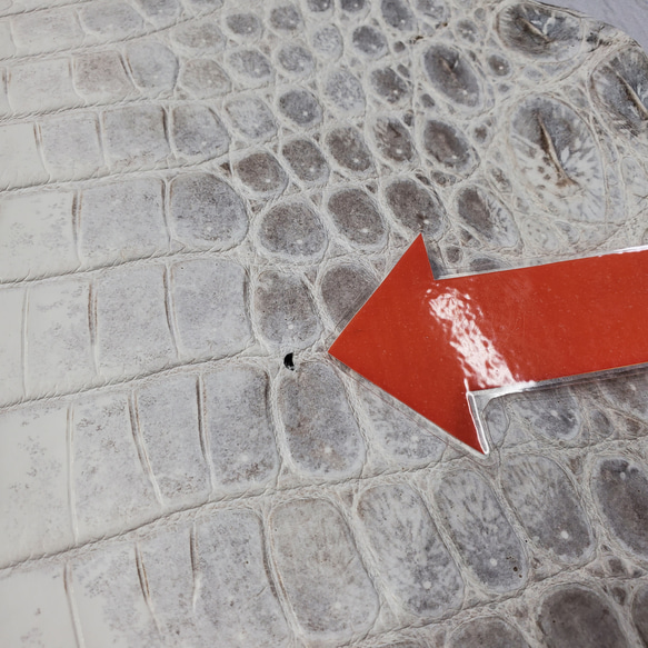 ワニ革 クロコ ヒマラヤ ナチュラル No.C008379 11枚目の画像