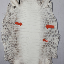 ワニ革 クロコ ヒマラヤ ナチュラル No.C008379 9枚目の画像