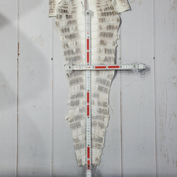 ワニ革 クロコ ヒマラヤ ナチュラル No.C008379 6枚目の画像