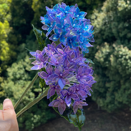 紫陽花 紫陽花あじさい三色セットアメリカンフラワーディップフラワー