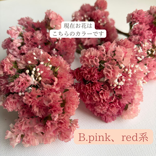 小さな花束を運ぶ小鳥️✨ 〜鳥さんと言葉‎* ドライフラワー 玄関 北欧