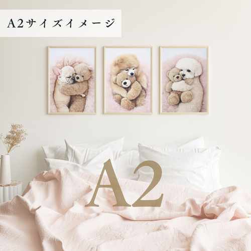 くまのぬいぐるみ - フレンチブルドッグ犬】テディーベア・teddy bear