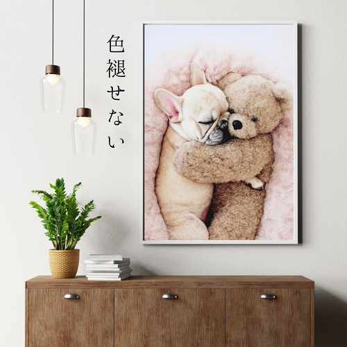 くまのぬいぐるみ - フレンチブルドッグ犬】テディーベア・teddy bear