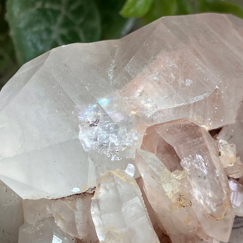 カテドラル イシス ヒマラヤ マニカラン産 ピンク水晶 原石 クラスター