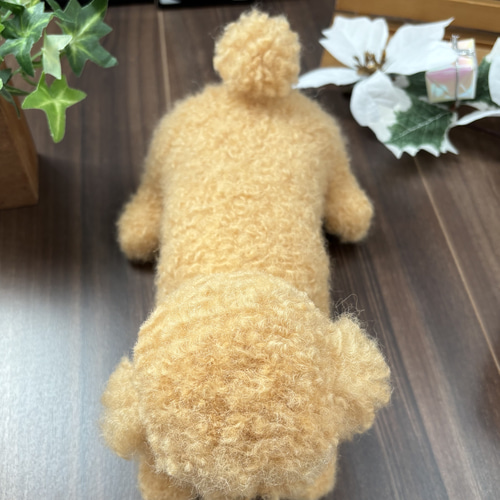 おとママ羊毛フェルト アプリコットトイプードル 茶色のお鼻 T-130