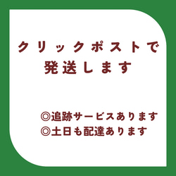 Hello！わたしはジューニンズです！(3way仕様の手刺繍ブローチ) 9枚目の画像