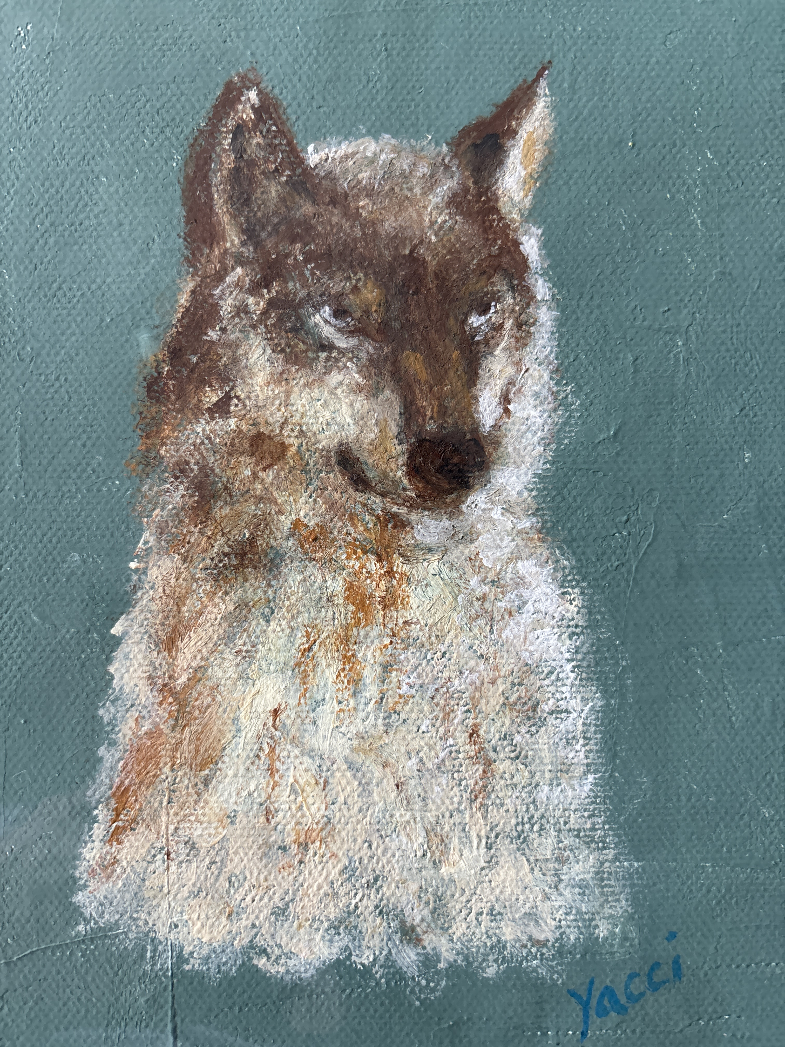 ハイイロオオカミ(Gray wolf)