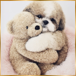 くまのぬいぐるみ - シーズー犬】テディーベア・teddy bear・かわいい
