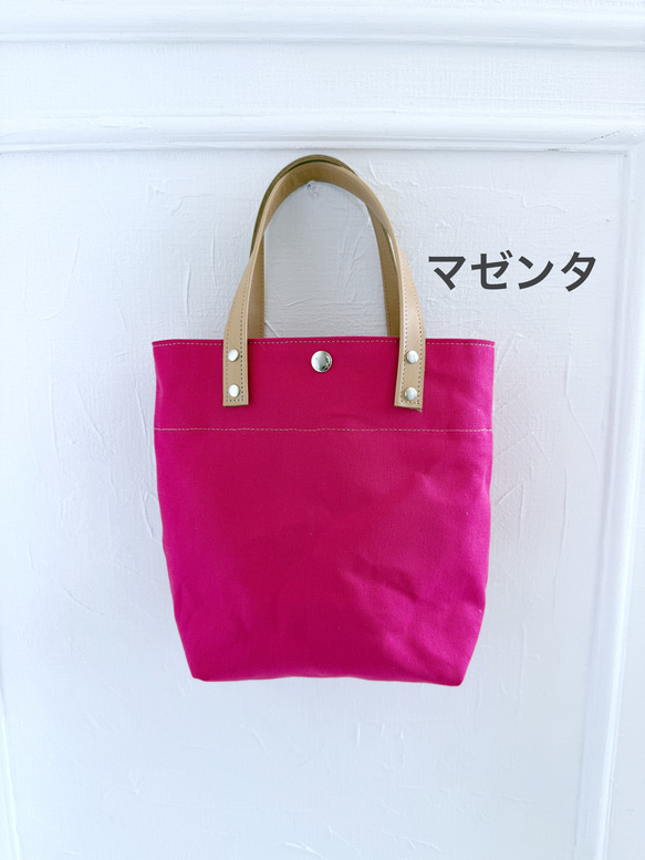 水筒 ペットボトル OK ちょっぴり 縦長 トートバッグ 帆布 ヌメ革 9枚目の画像