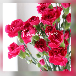 パステル✴︎忙しいけど毎日を楽しみたい✴︎フロスト✴︎フローライト　癒し・知性・インスピレーション・変化のサポート 9枚目の画像