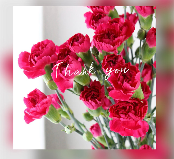 パステル✴︎忙しいけど毎日を楽しみたい✴︎フロスト✴︎フローライト　癒し・知性・インスピレーション・変化のサポート 9枚目の画像