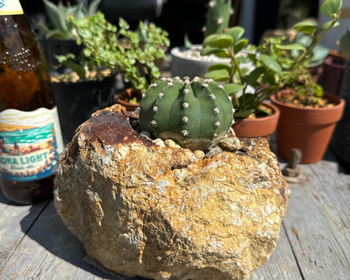 23d6024ad31ebbcc69aa5ae83dbe0c