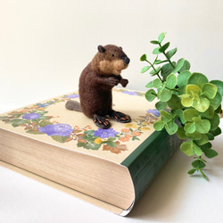 羊毛フェルト エゾリス 羊毛フェルト りすすのす 通販 12042251