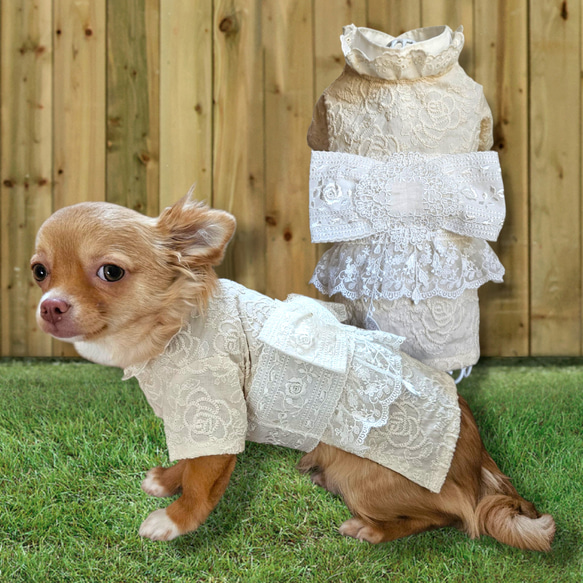 イタグレ　ウィペット　浴衣　GIRLS イタグレ ウィペット 浴衣 GIRLS 犬 浴衣 型紙