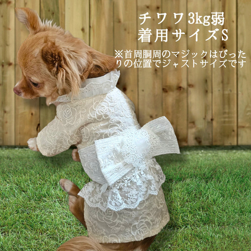 ☆夢夢さん☆犬服　ハンドメイド 楽天市場】犬服 【うちの子Tシャツ 名入れ刺繍】 名入れ無料