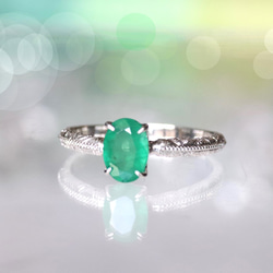 496175ba47faf8b043d8ec0b217656